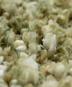 Dolce By Addison Rug Shag Aloe Plush 13 Ft. 9 Ft. X Area 18 Dolce By Addison Rug Shag Aloe Plush 13 Ft. 9 Ft. X Area -RugHub Shop aloe addison rugs area rugs hddo1al9x13 44 1000