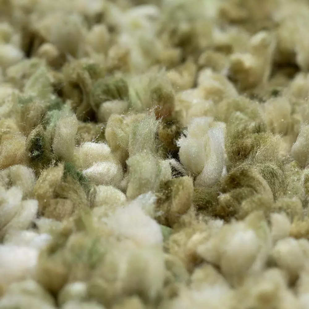 Dolce By Addison Rug Shag Aloe Plush 13 Ft. 9 Ft. X Area 9 Dolce By Addison Rug Shag Aloe Plush 13 Ft. 9 Ft. X Area - Image 7