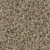 Trafficmaster Carpet Roll) Fireworks Ii 12 Ft. Multi-Colored (1080 Sq. Ft. Color Explosion Indoor Texture -RugHub Shop explosion trafficmaster roll carpet h2010 106 1200 64 1000