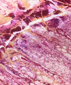 Copeland By Addison Rug Flamingo X 6 In. 8 In. 2 Ft. 1 Ft. Accent Abstract -RugHub Shop flamingo addison rugs area rugs hdkc16fl20x30 fa 1000 1