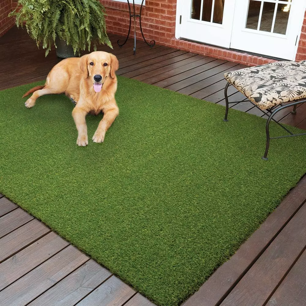 By Trafficmaster Pet Rug 13 Ft. 7.5 Ft. X Gras Artificial Green 4 By Trafficmaster Pet Rug 13 Ft. 7.5 Ft. X Gras Artificial Green - Image 2