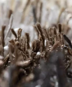 By Addison Rug Verona 5 Ft. 7 In. 9 X 3 In. 7 Ft. Area Khaki -RugHub Shop khaki addison rugs area rugs hdvc9kh5x8 fa 1000