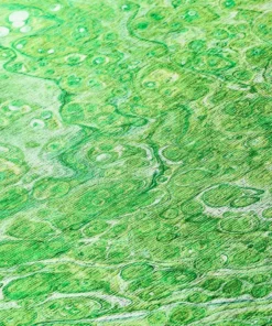 Copeland By Addison Rug Lime X 6 In. 8 In. 2 Ft. 1 Ft. Accent Abstract 19 Copeland By Addison Rug Lime X 6 In. 8 In. 2 Ft. 1 Ft. Accent Abstract -RugHub Shop lime addison rugs area rugs hdkc5lm20x30 fa 1000 1