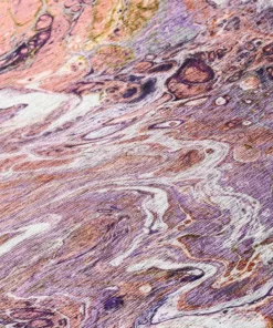 Copeland By Addison Rug Primrose 1 Ft. 8 In. 2 Ft. 6 In. X Accent Abstract -RugHub Shop primrose addison rugs area rugs hdkc6pr20x30 4f 1000