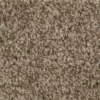 Hartsfield Trafficmaster Carpet (1080 Sq. Ft./Roll) Color 12 Ft. Skypoint Indoor Texture Beige -RugHub Shop skypoint trafficmaster roll carpet h2022 1815 1200 64 1000