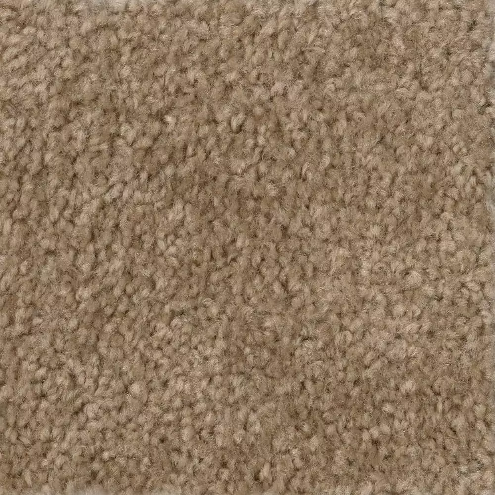 Trafficmaster Hot Shot Carpet Color Tuscan Ii 12 Ft. Indoor Texture Beige 3 Trafficmaster Hot Shot Carpet Color Tuscan Ii 12 Ft. Indoor Texture Beige