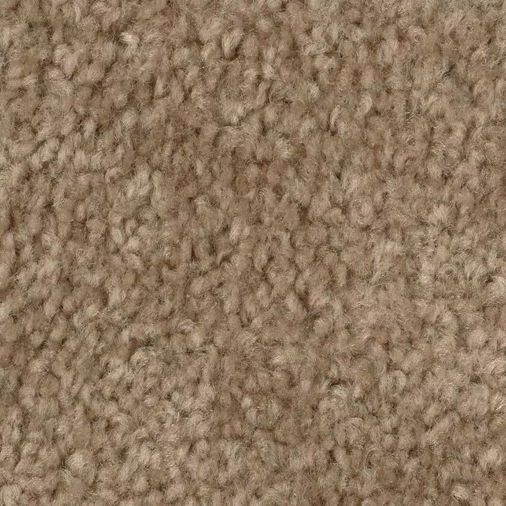 Trafficmaster Hot Shot Carpet Color Tuscan Ii 12 Ft. Indoor Texture Beige 9 Trafficmaster Hot Shot Carpet Color Tuscan Ii 12 Ft. Indoor Texture Beige - Image 7