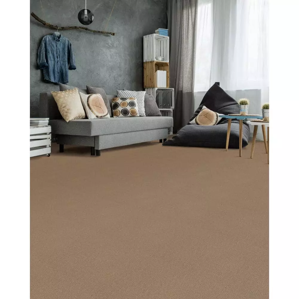 Trafficmaster Hot Shot Carpet Color Tuscan Ii 12 Ft. Indoor Texture Beige 4 Trafficmaster Hot Shot Carpet Color Tuscan Ii 12 Ft. Indoor Texture Beige - Image 2